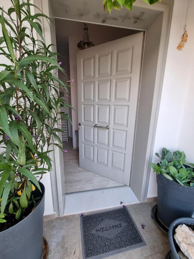 Hara'S Villa In Naousa , Paros 外观 照片