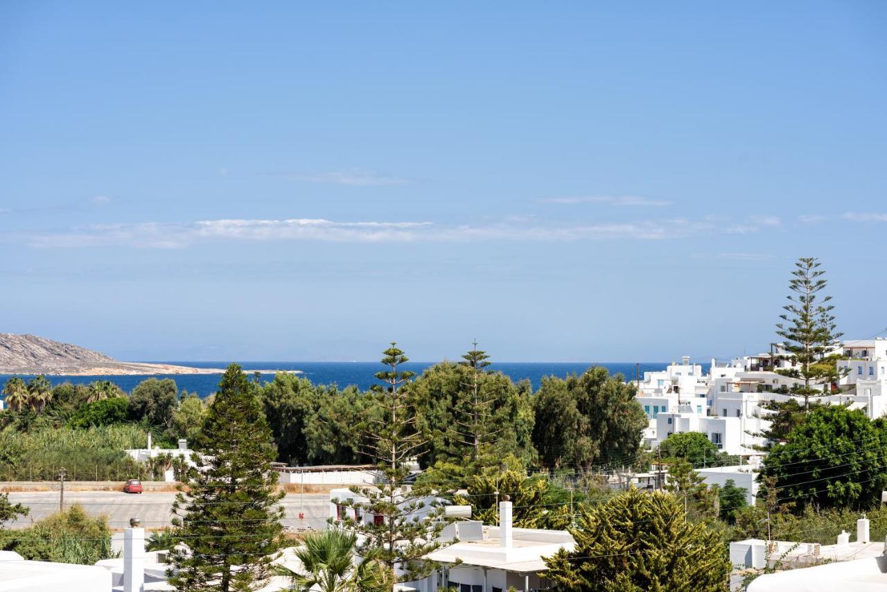 Hara'S Villa In Naousa , Paros 外观 照片