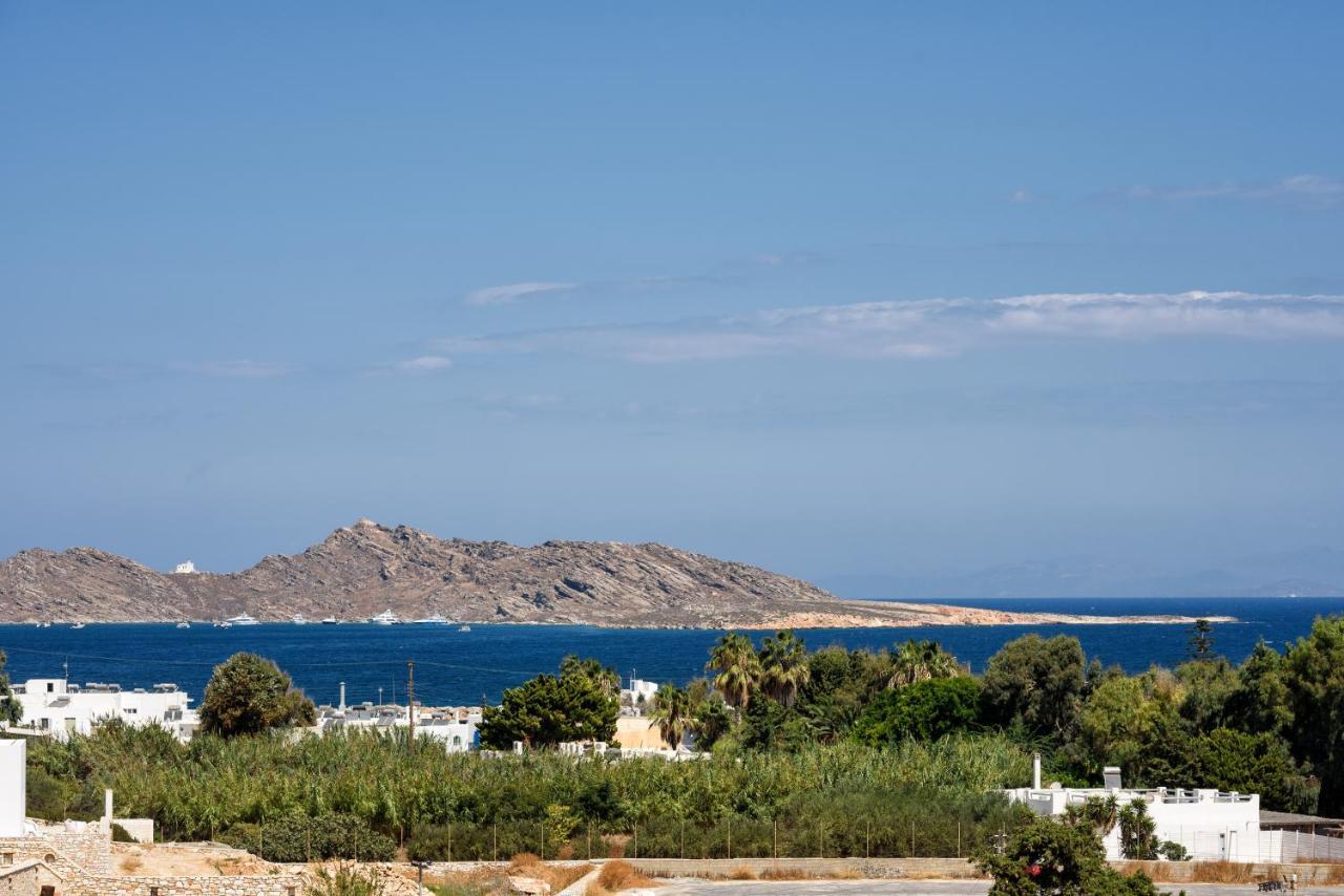 Hara'S Villa In Naousa , Paros 外观 照片